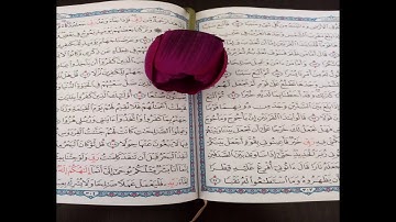 سورة المسد بصوت القارئ الزين محمد احمد