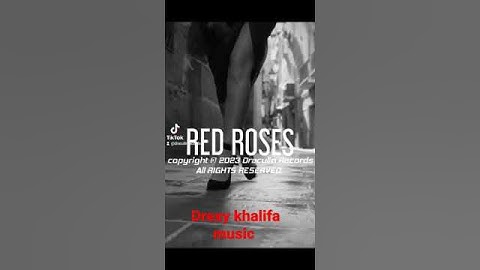 Red Roses (Music Visualizer) @Drexykhalifa