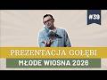 Prezentacja gołębi #39 - Bogdan Nieradka - Młode Wiosna 2026