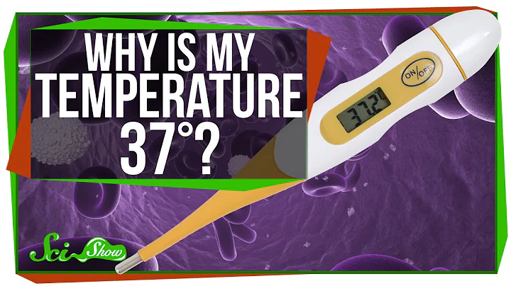 Why Is My Body Temperature 37 Degrees? - DayDayNews