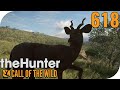 The hunter call of the wild 618  scheue kudus   pantoffelplays