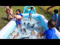 Sneyha arbin  javan fun playing with real fish in inflatable swimming pool  cute sneyhas show