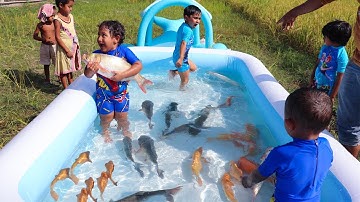 Sneyha, Arbin & Javan Fun Playing With Real Fish in Inflatable Swimming pool - Cute Sneyha