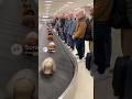 Wig Carousel at Baggage Claim