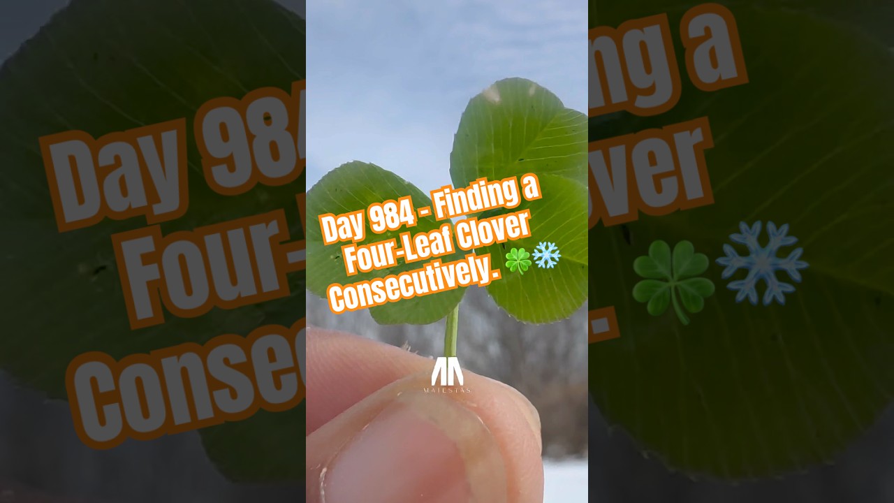 День 984 — Находим четырелистный клевер подряд. 🍀❄️