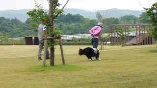 20130617ココタトレーニング4