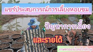 แชร์ประสบการณ์ตรง รายได้และปัญหาจากการเลี้ยงหอยขม