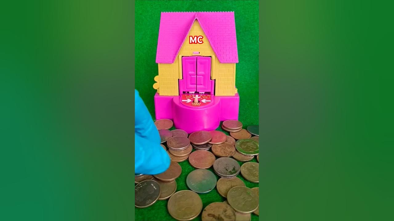 Dog house coin collector dog house bank coine homemade big dog house