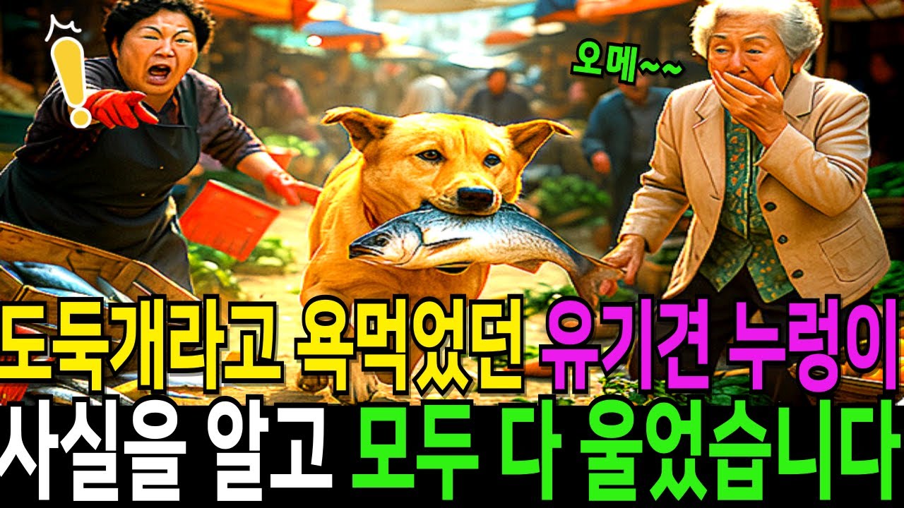 도둑개라고 사람들에게 욕먹던 누렁이, 사실을 알고 모두 다 울고 말았습니다...