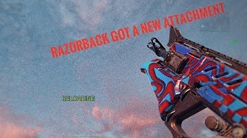 Razorback gunsmith | does it compete