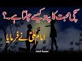 Amazing Urdu Quotations| Hazrat Ali R.A Quotes| Best urdu Quotes about life|Urdu Quotes