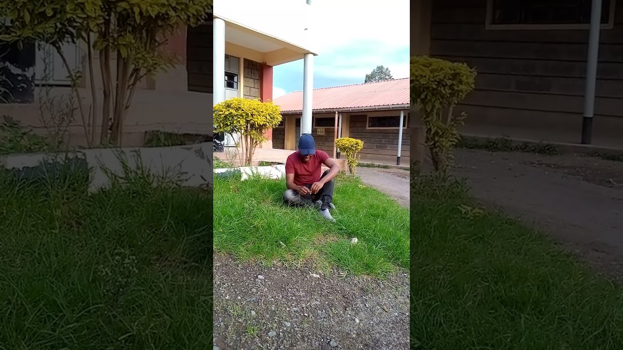 ✨😍..... software....hardware...maunzi laini... maunzi ngumu...kipindi Cha tafsiri 🌟✨😍