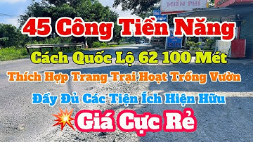 (Số 825) 45 Công-💥Giá Rẻ Nhất Khu Vực 100 Mét Ra Quốc Lộ 62/ Cần Bán Gấp - Tại Tân Thạnh Long An