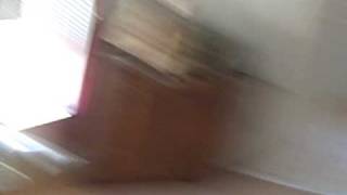 PestPlus-Bed Bugs Explode in Parlin, NJ Part 1