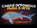 Cat Goes Fishing. ГИГАНТСКАЯ *ПРОБЛЕМНАЯ* РЫБА!