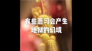 Full 201902 有些恶习会产生地狱的幻境50213 Guide