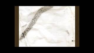 Montes - Fuerza