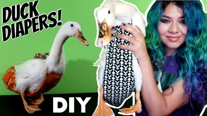 SO I MADE DUCK DIAPERS! (TSABS ep.4) - YouTube so-i-made-duck-diapers-tsabs-ep-4-youtube