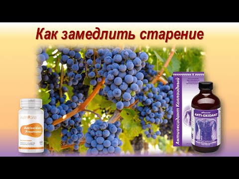 Свободные радикалы и антиоксиданты: мифы и факты, вред и польза.