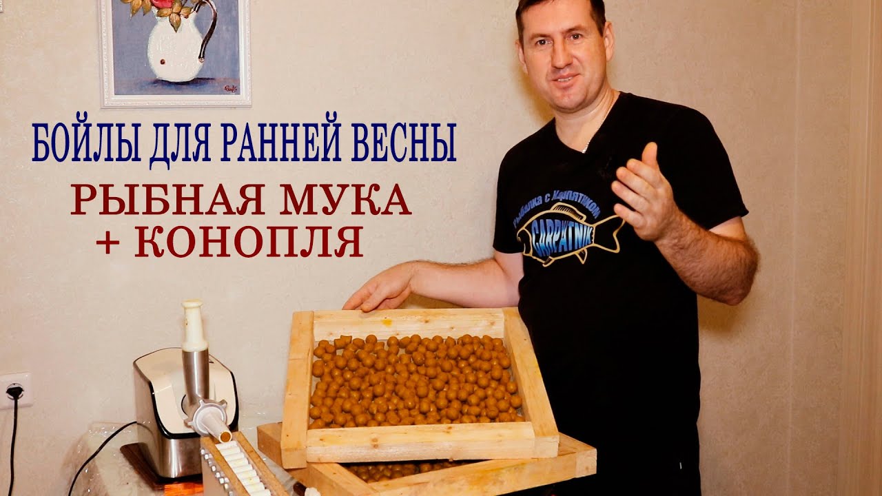 Бойлы своими руками для ранней весны / Конопля+Рыбная мука / Пылящие бойлы