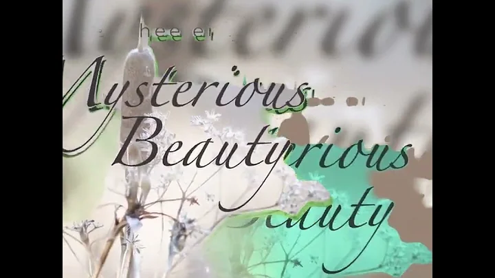 Mysterious Beauty Official Video