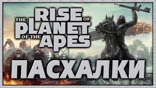 Пасхалки в фильме Восстание планеты обезьян / Rise of the Planet of the Apes [Easter Eggs]