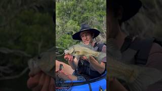 Australian Bass Fishing from an Inflatable Raft #fishing #river #packrafting #bassfishing  #camping