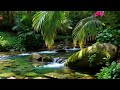 Calming River Sounds & Birds 🌙 Natural Sleep Therapy Ambience
