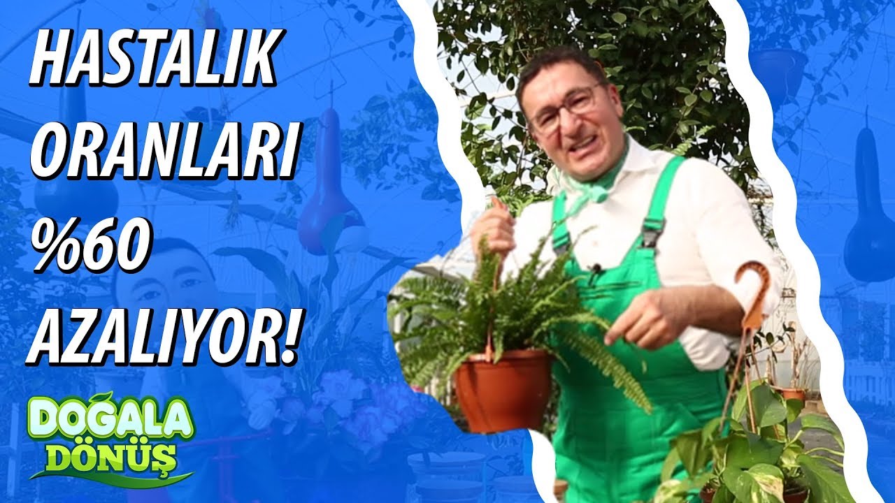 doğan akhanlı Bitkilerin Yaşamımıza Olumlu Etkilerini Duyunca Çok Şaşıracaksınız!