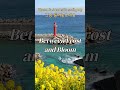 봄이 오기 전, 마음이 먼저 녹는 시간 Winter-Spring 감성 Piano cafe music #잔잔한음악 #카페음악 #감성음악 #힐링음악