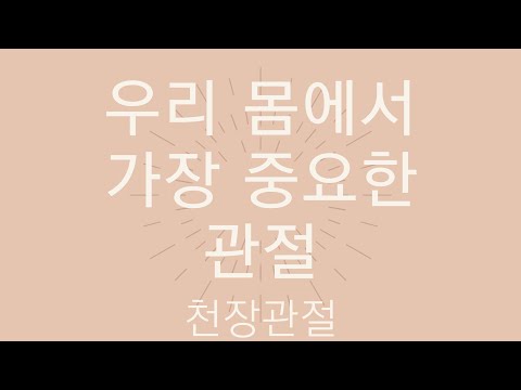 요가해부학6 천장관절 우리 몸 중 가장 중요한 중심 관절 움직임 이해하기