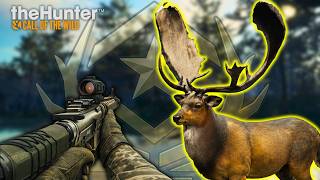 3,556 KILLS LATER... IT FINALLY SPAWNED! 🦌 | Great One Fallow Deer LIVE