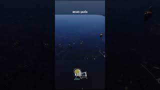 Beser Şahîn - Here Mellî & Weylo Weylo