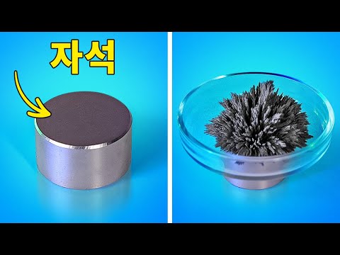 시도하기 좋은 <strong>환상적인</strong> <strong>실험</strong>