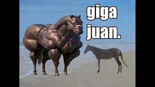 juan meets man