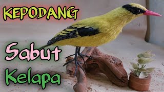 Kerajinan BURUNG KEPODANG terbuat dari sabut kelapa