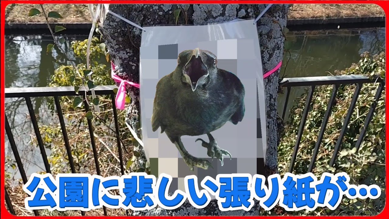 【悲しいお知らせ】近所公園にこんな張り紙が設置され、その数日後…。20260226、カラス＆四つ足クインテット（仮）