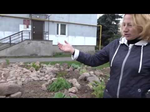Рокарий в Городце