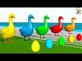 Learn colors with duck lay eggs colors cartoon for kids