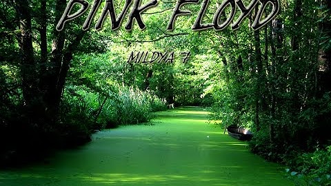 PINK FLOYD THE ENDLESS RIVER FULL 🌙 ALBUM Tribute 22 Mildya 7 by Cave of Creation 🌙 rellaxing music