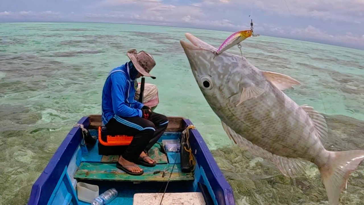 Makin Banyak Spot Makin Seru Strike nya Mancing Casting di Karang Dangkal