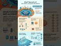 Public IP vs Private IP: Neden dünyada IP bitmiyor?