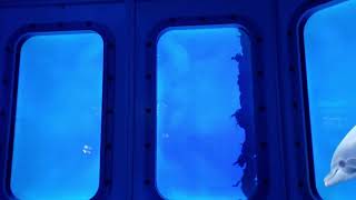 Simulator at Infinity Space Center MS