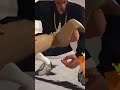 Reverse edit trend-3 on 3 freestyle Song -Werkk by Tisakorean
