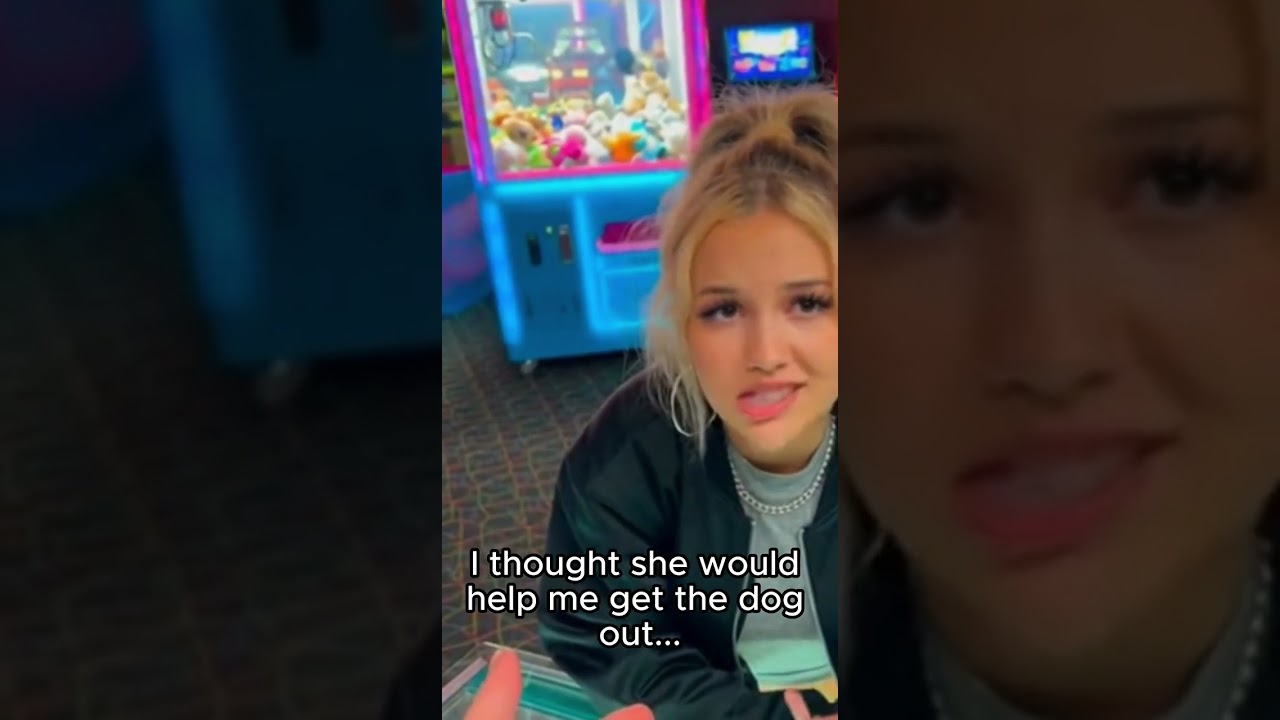 These Dogs Were Almost Lost Forever… Until Strangers Saved Them 😭🐾