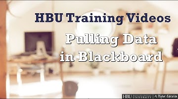Instructor Training Videos - Pulling Data in Blackboard