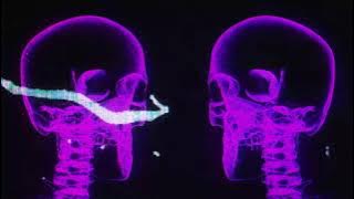 Duke & Jones - Active