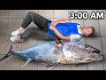 Inside a japanese fish market