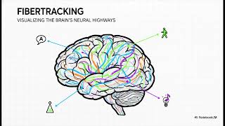 Famous Brainlab Elements: The Software Revolutionizing Modern Surgery 🧠✨ Net Worth