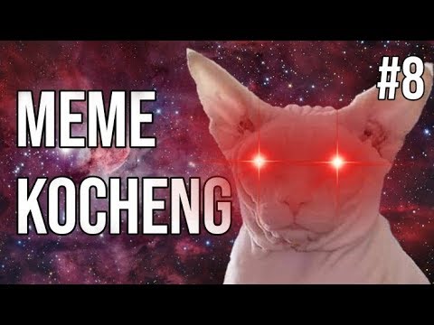 kocheng-reborn!-meme-kucing-#8